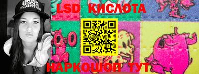 прущие крисы Новозыбков