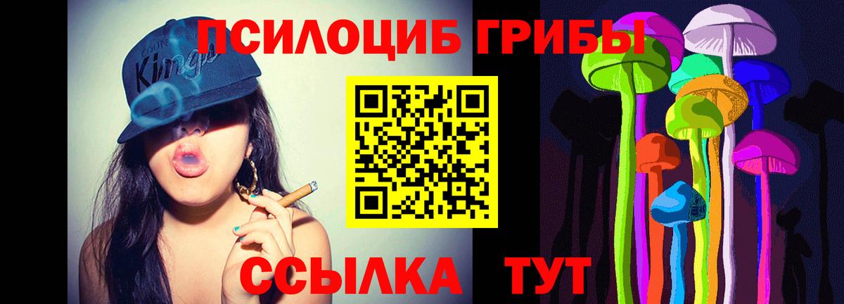 Псилоцибиновые грибы MAGIC MUSHROOMS  магазин    Чусовой  Вход с VPN  Галлюциногенные грибы прущие грибы 